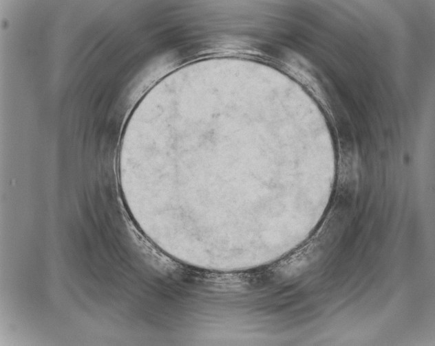 X0000087631338200705181451