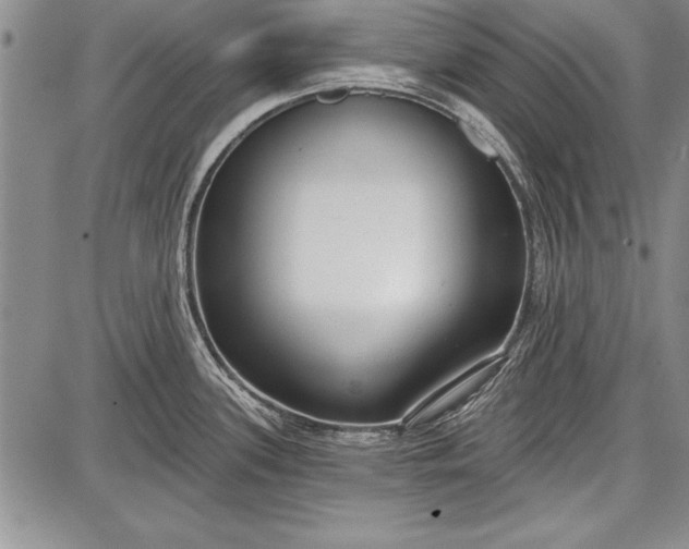 X0000087631339200705181451