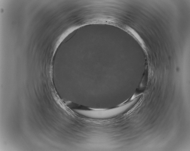 X0000087631340200705181451