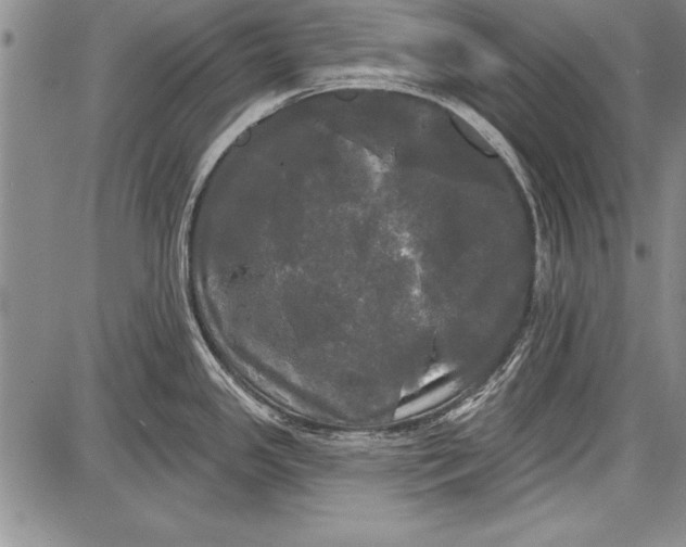 X0000087631341200705181451