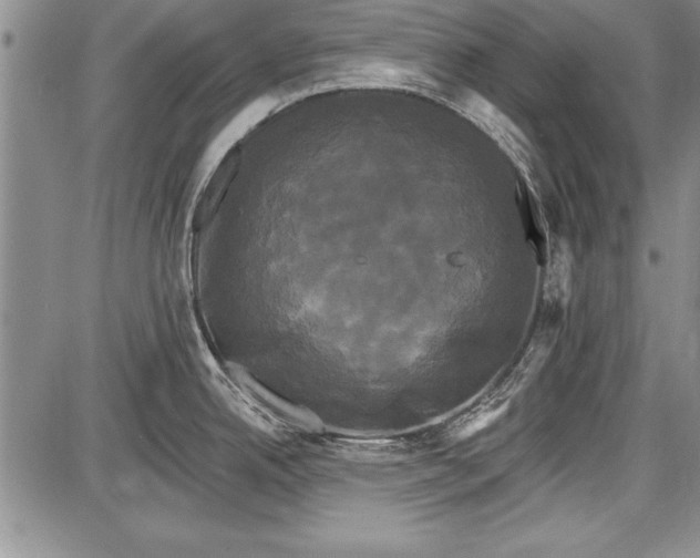 X0000087631342200705181451