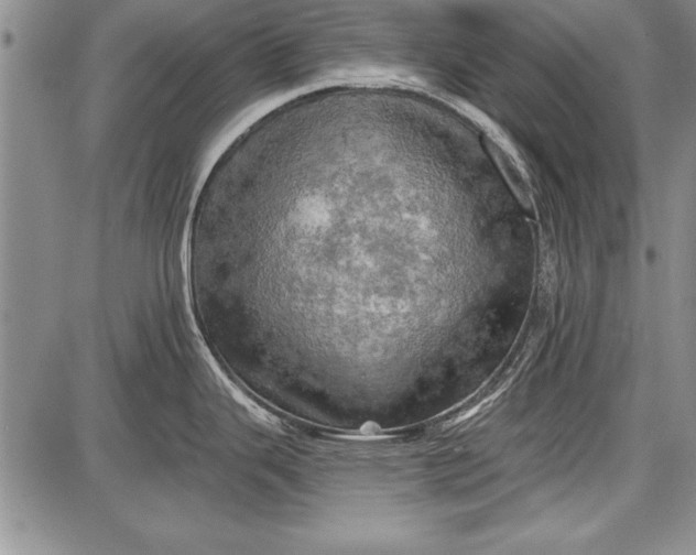 X0000087631343200705181451