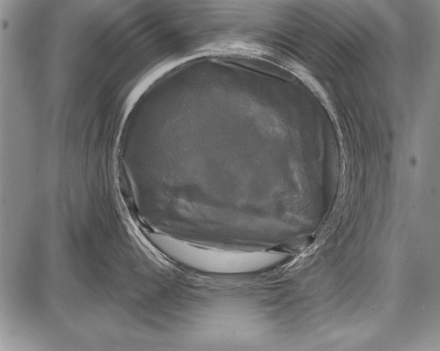 X0000087631344200705181451