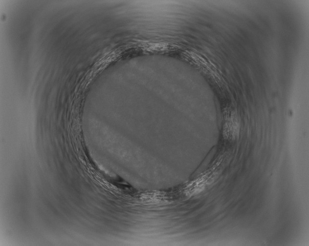 X0000087631345200705181450