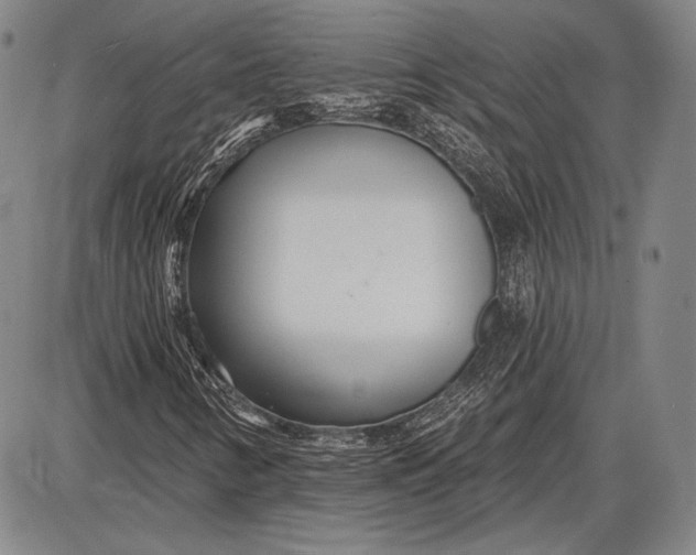 X0000087631346200705181450