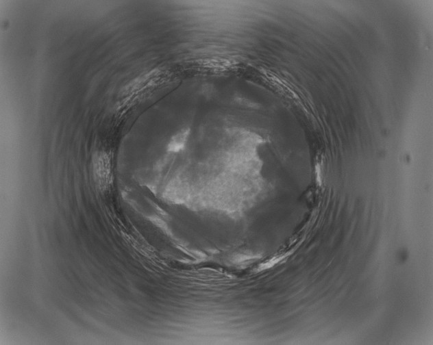 X0000087631347200705181450