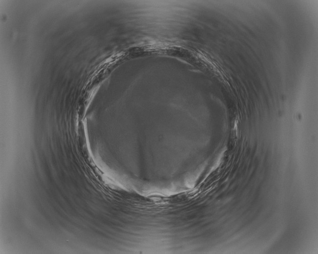 X0000087631348200705181450