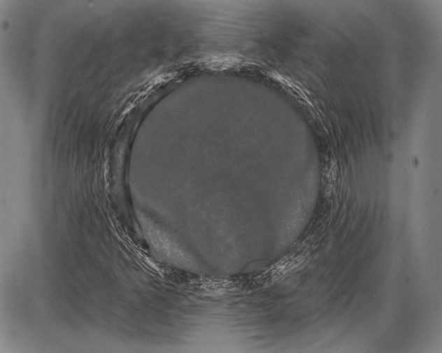 X0000087631349200705181450