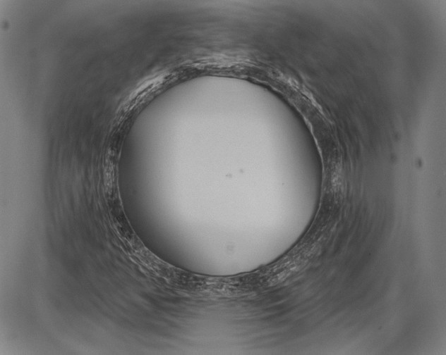 X0000087631350200705181450