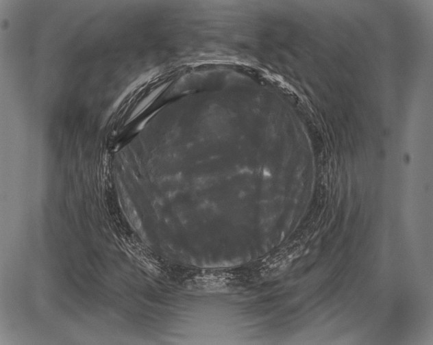 X0000087631351200705181450