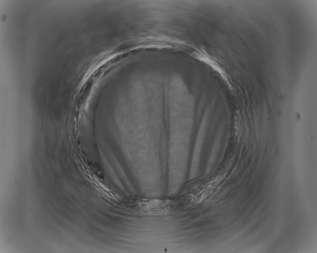 X0000087631352200705181450