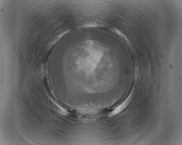 X0000087631353200705181450