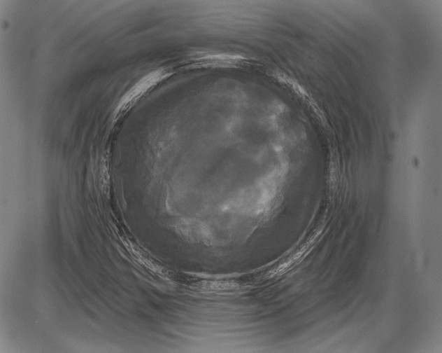 X0000087631354200705181450