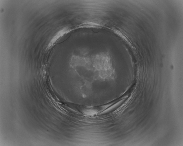 X0000087631355200705181450