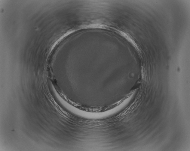 X0000087631356200705181450