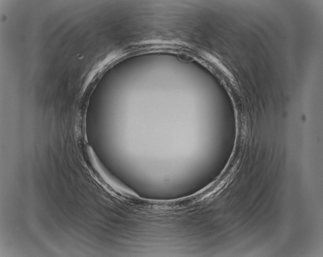 X0000087631357200705181450