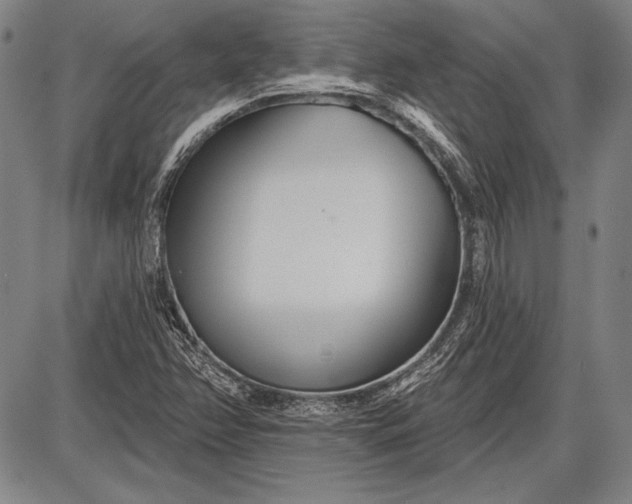 X0000087631358200705181450