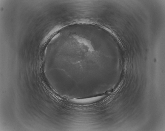 X0000087631359200705181450