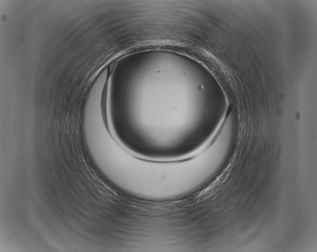 X0000087631361200705181450