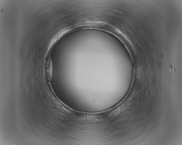 X0000087631362200705181450