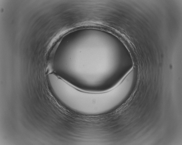 X0000087631363200705181450