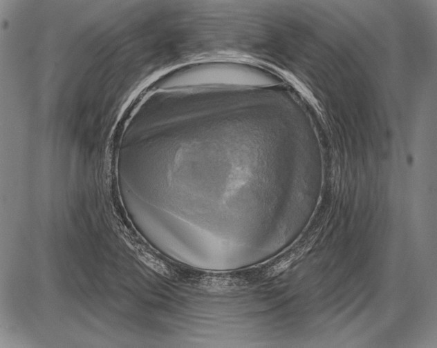 X0000087631364200705181450