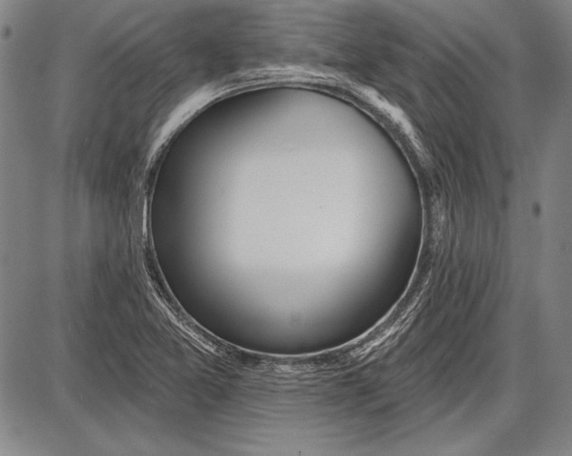 X0000087631365200705181450