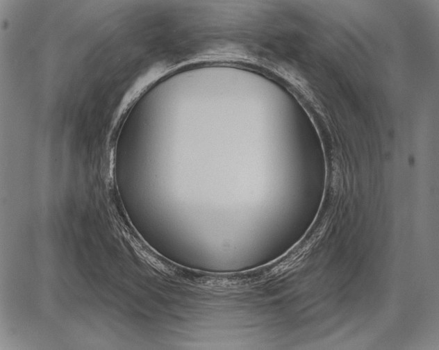 X0000087631366200705181450