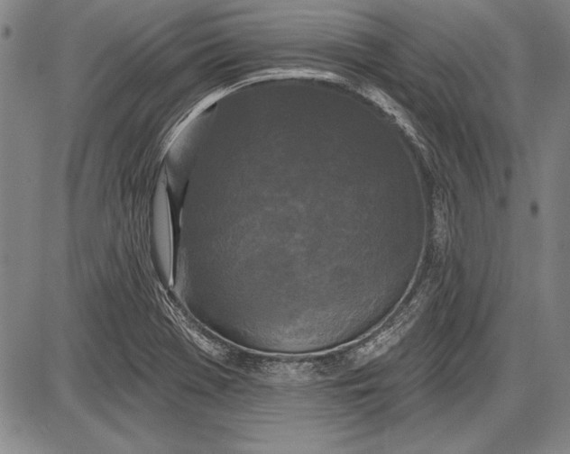 X0000087631369200705181450