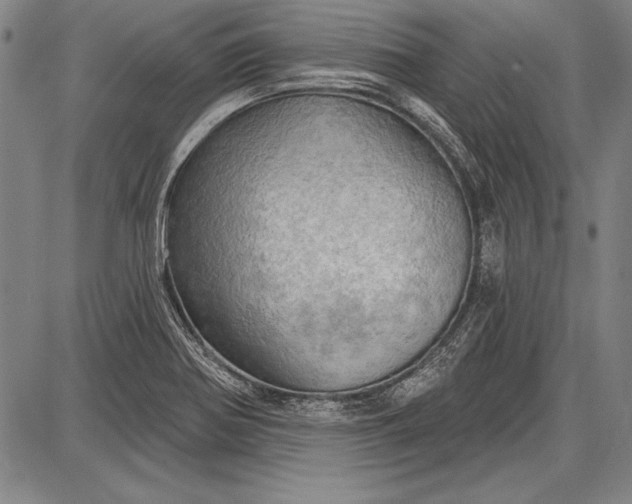 X0000087631370200705181450