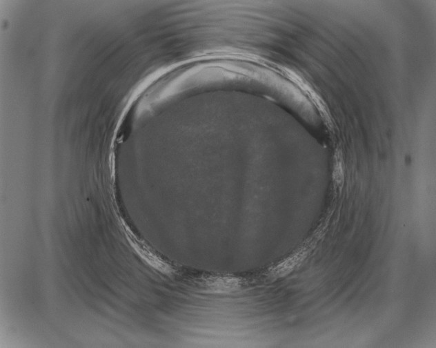 X0000087631372200705181450