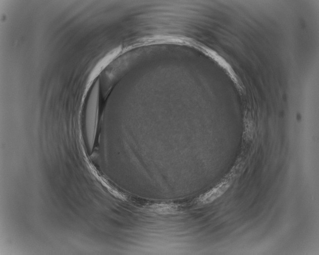 X0000087631373200705181450