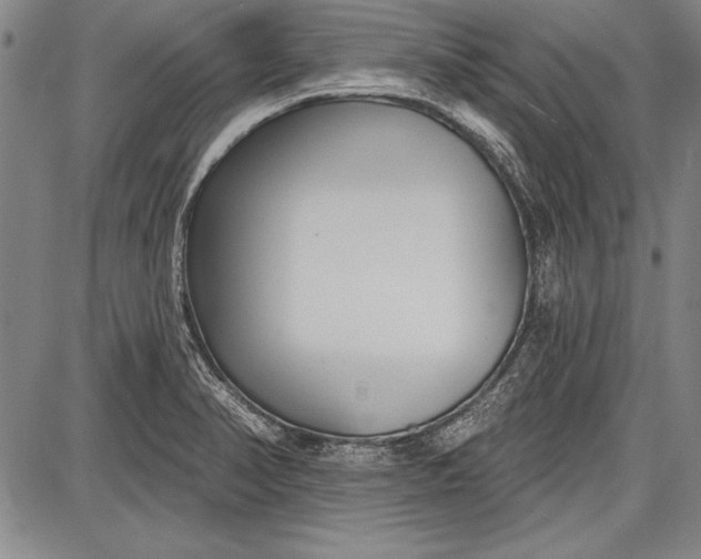 X0000087631374200705181450