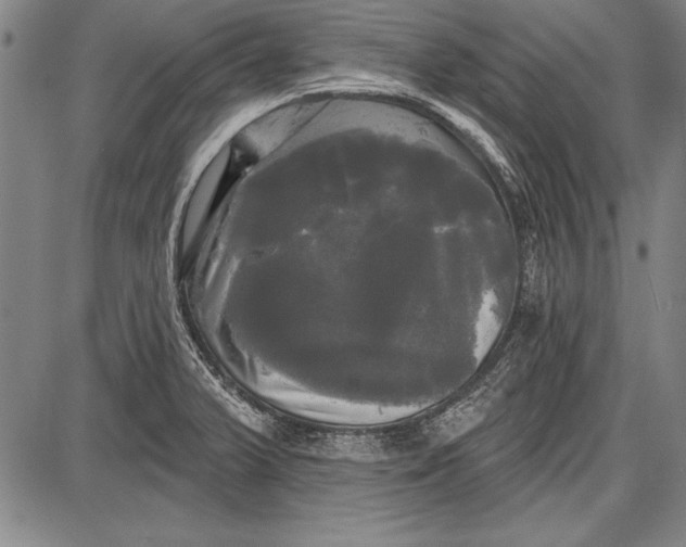 X0000087631375200705181450