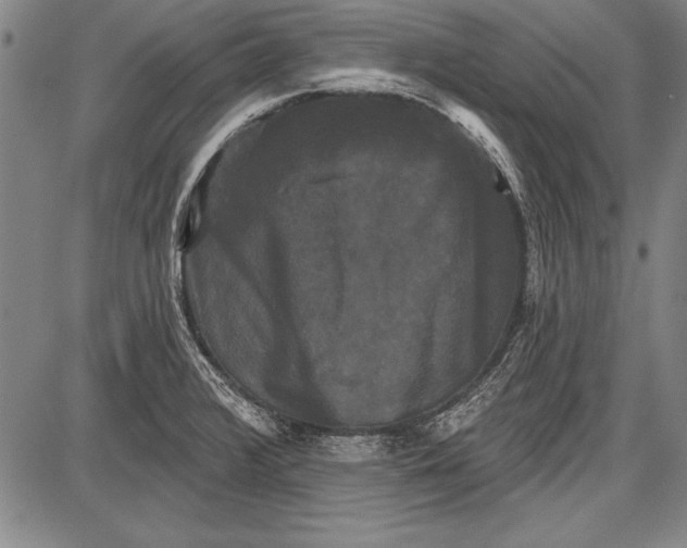 X0000087631376200705181450