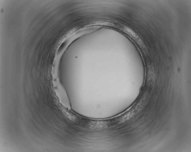 X0000087631377200705181449