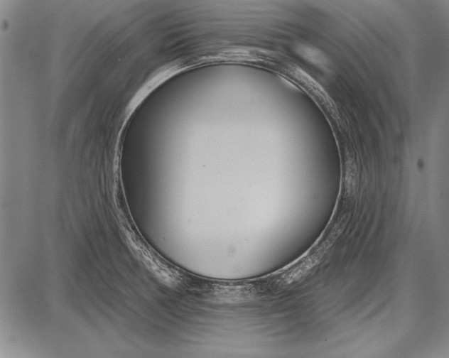 X0000087631378200705181449