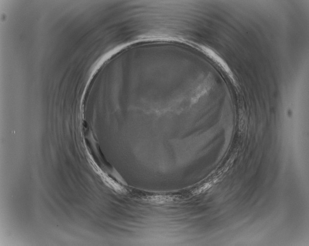 X0000087631380200705181449