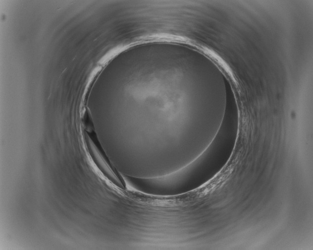 X0000087631381200705181449