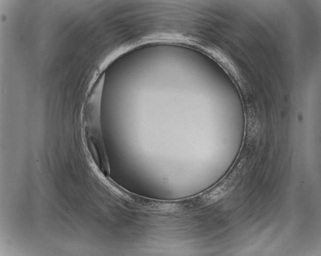 X0000087631382200705181449