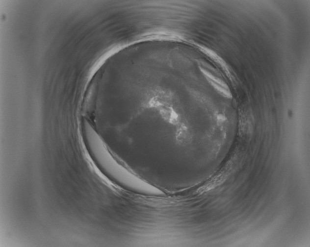 X0000087631383200705181449