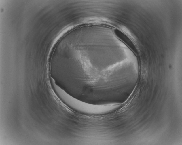 X0000087631384200705181449