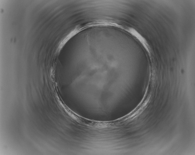 X0000087631385200705181449