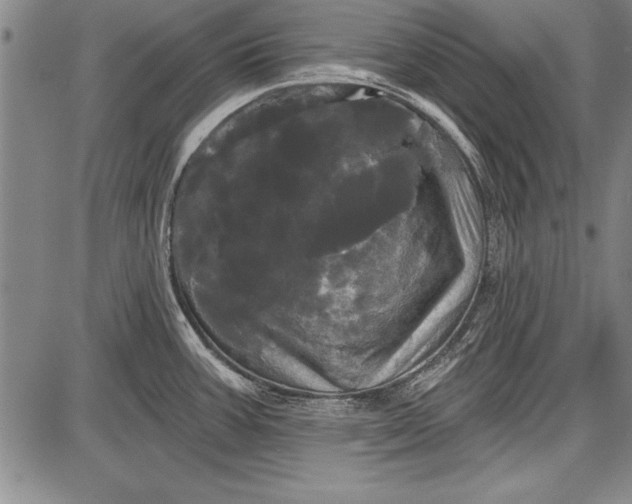 X0000087631387200705181449