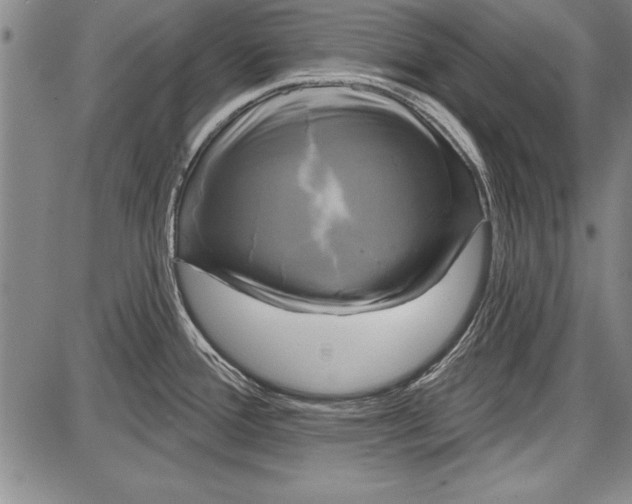 X0000087631388200705181449