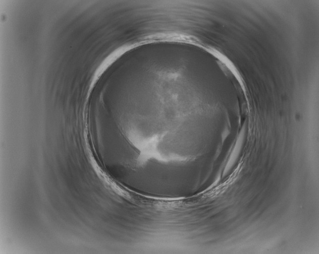 X0000087631389200705181449