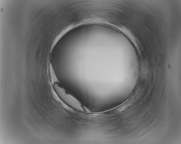 X0000087631390200705181449