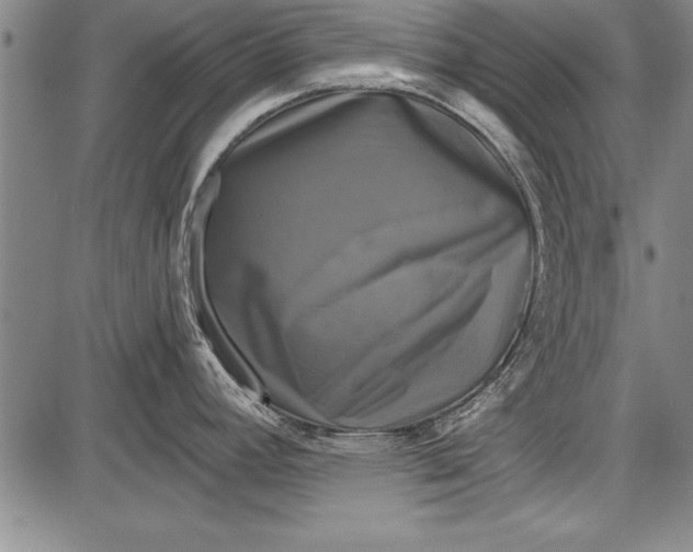 X0000087631392200705181449