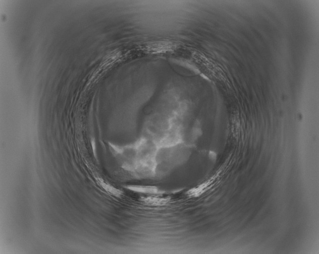 X0000087631393200705181448