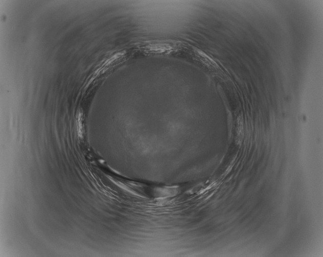 X0000087631394200705181448